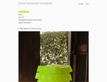 Tablet Screenshot of davidmuenzer.com